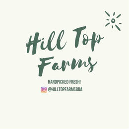 Hill Top Farms Bermuda