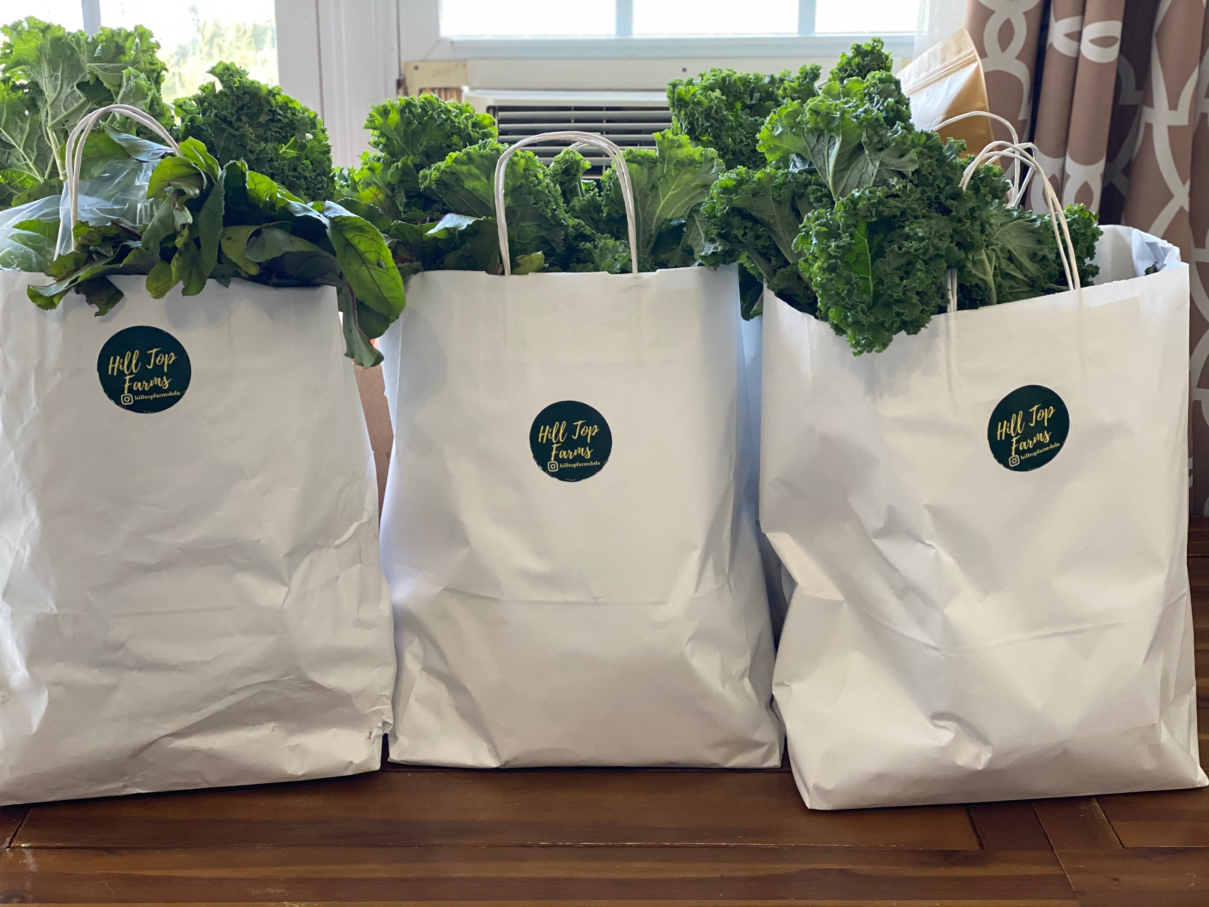 $40 Mini Bag